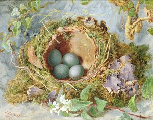 A Nest of Eggs, 1871 (tagai 215284 mo paga)swed